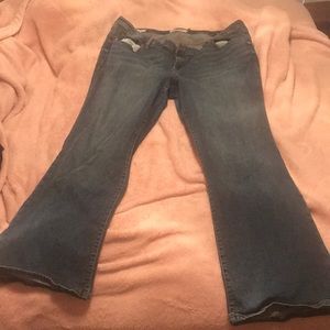 Torrid jeans